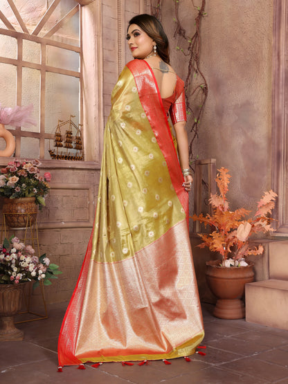 MoonPalav Handloom Tissue Silk Saree with Zari Border Moonpalav