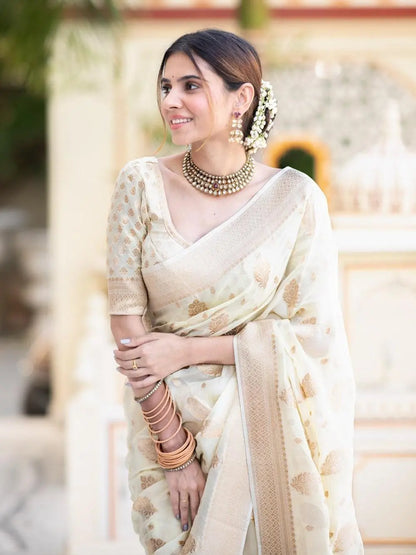 MoonPalav Elegant Ivory Banarasi White Georgette Saree Moonpalav