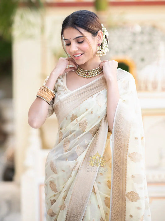 MoonPalav Elegant Ivory Banarasi White Georgette Saree Moonpalav
